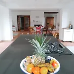 Residenz Dabo Panorama In Den Vogesen, 5 Zimmer, Modern Und Grosszuegig, 2 Balkons, Terrasse, Garten
