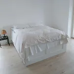 Residenz Dabo Panorama In Den Vogesen, 5 Zimmer, Modern Und Grosszuegig, 2 Balkons, Terrasse, Garten Apartmán *