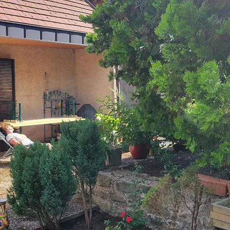 Daire Residenz Dabo Panorama In Den Vogesen, 5 Zimmer, Modern Und Grosszuegig, 2 Balkons, Terrasse, Garten