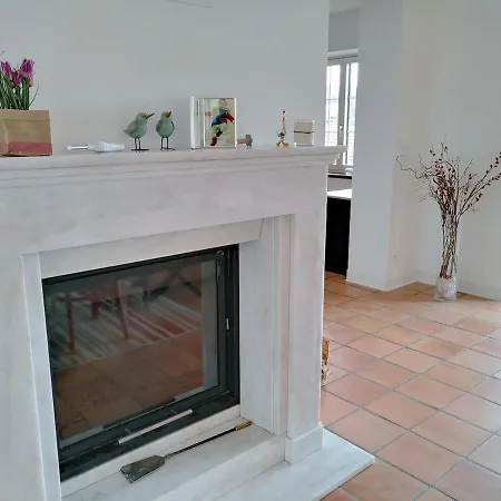 Residenz Dabo Panorama In Den Vogesen, 5 Zimmer, Modern Und Großzügig, 2 Balkons, Terrasse, Garten Apartment