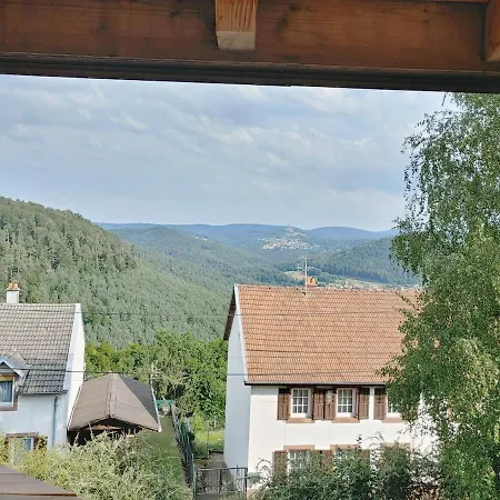 公寓 Residenz Dabo Panorama In Den Vogesen, 5 Zimmer, Modern Und Grosszuegig, 2 Balkons, Terrasse, Garten Haselbourg