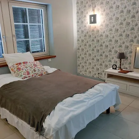 Residenz Dabo Panorama In Den Vogesen, 5 Zimmer, Modern Und Großzügig, 2 Balkons, Terrasse, Garten Apartamento Haselbourg