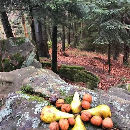 Residenz Dabo Panorama In Den Vogesen, 5 Zimmer, Modern Und Grosszuegig, 2 Balkons, Terrasse, Garten * Haselbourg