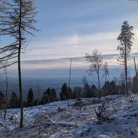 Residenz Dabo Panorama In Den Vogesen, 5 Zimmer, Modern Und Grosszuegig, 2 Balkons, Terrasse, Garten 公寓