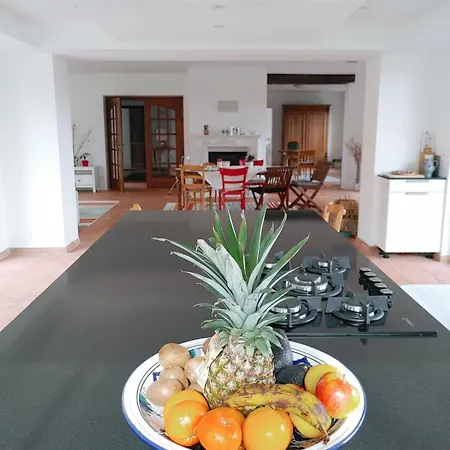 Residenz Dabo Panorama In Den Vogesen, 5 Zimmer, Modern Und Grosszuegig, 2 Balkons, Terrasse, Garten