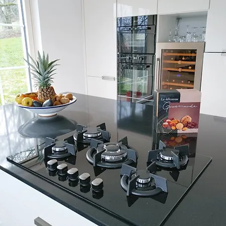 דירה Residenz Dabo Panorama In Den Vogesen, 5 Zimmer, Modern Und Grosszuegig, 2 Balkons, Terrasse, Garten Haselbourg