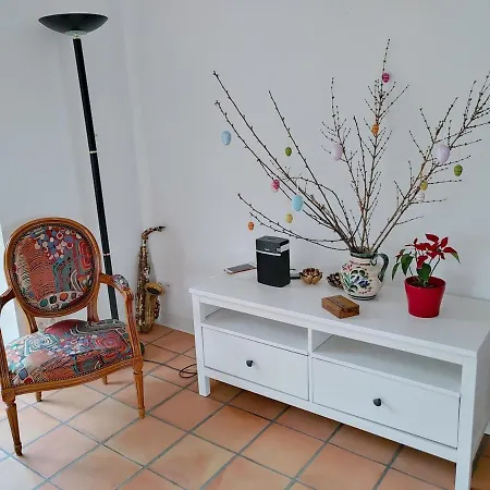 Residenz Dabo Panorama In Den Vogesen, 5 Zimmer, Modern Und Großzügig, 2 Balkons, Terrasse, Garten Haselbourg