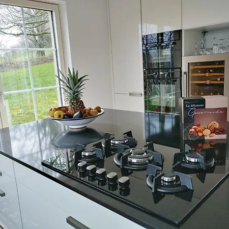 Apartment Residenz Dabo Panorama In Den Vogesen, 5 Zimmer, Modern Und Großzügig, 2 Balkons, Terrasse, Garten Haselbourg