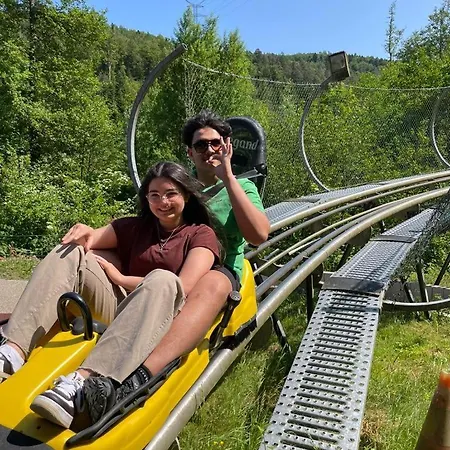 Residenz Dabo Panorama In Den Vogesen, 5 Zimmer, Modern Und Großzügig, 2 Balkons, Terrasse, Garten * Haselbourg