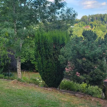 Residenz Dabo Panorama In Den Vogesen, 5 Zimmer, Modern Und Großzügig, 2 Balkons, Terrasse, Garten Apartment