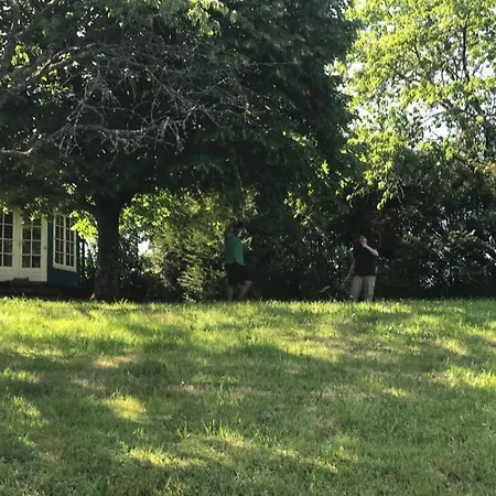 Residenz Dabo Panorama In Den Vogesen, 5 Zimmer, Modern Und Grosszuegig, 2 Balkons, Terrasse, Garten 公寓