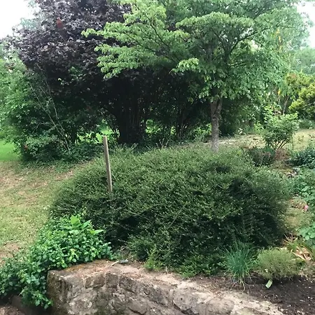 Residenz Dabo Panorama In Den Vogesen, 5 Zimmer, Modern Und Grosszuegig, 2 Balkons, Terrasse, Garten דירה *