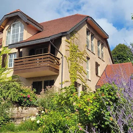 Residenz Dabo Panorama In Den Vogesen, 5 Zimmer, Modern Und Grosszuegig, 2 Balkons, Terrasse, Garten Haselbourg