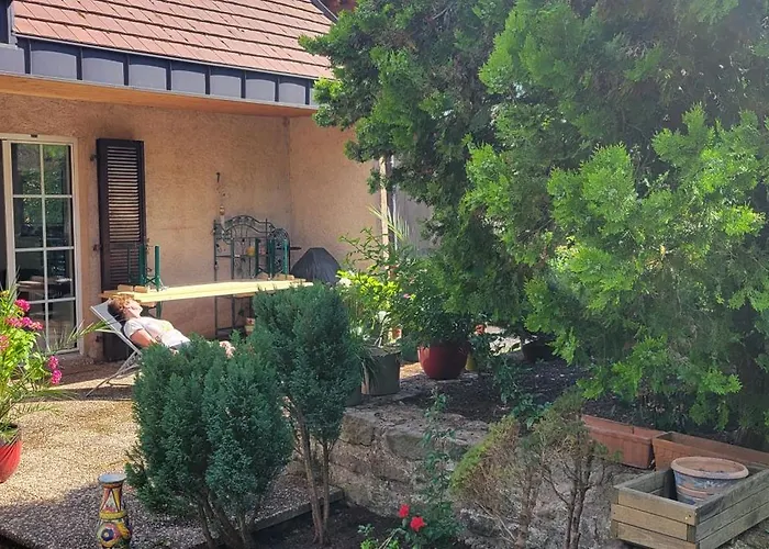 Daire Residenz Dabo Panorama In Den Vogesen, 5 Zimmer, Modern Und Grosszuegig, 2 Balkons, Terrasse, Garten