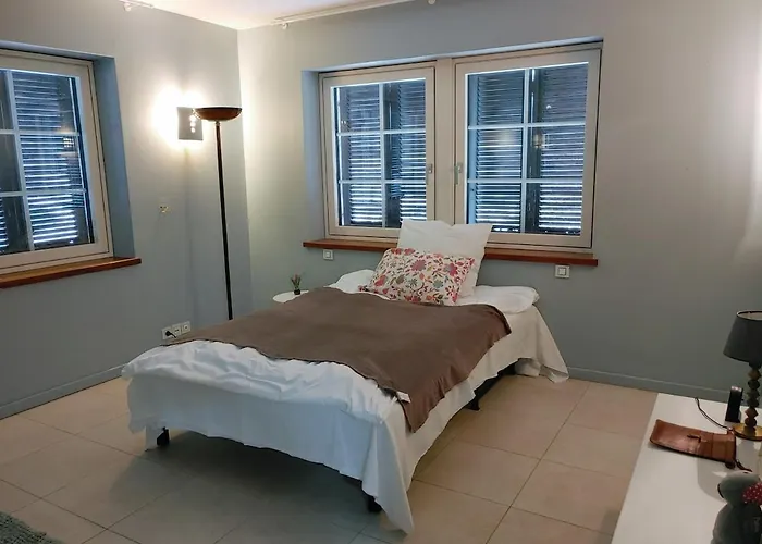 Residenz Dabo Panorama In Den Vogesen, 5 Zimmer, Modern Und Grosszuegig, 2 Balkons, Terrasse, Garten Daire *