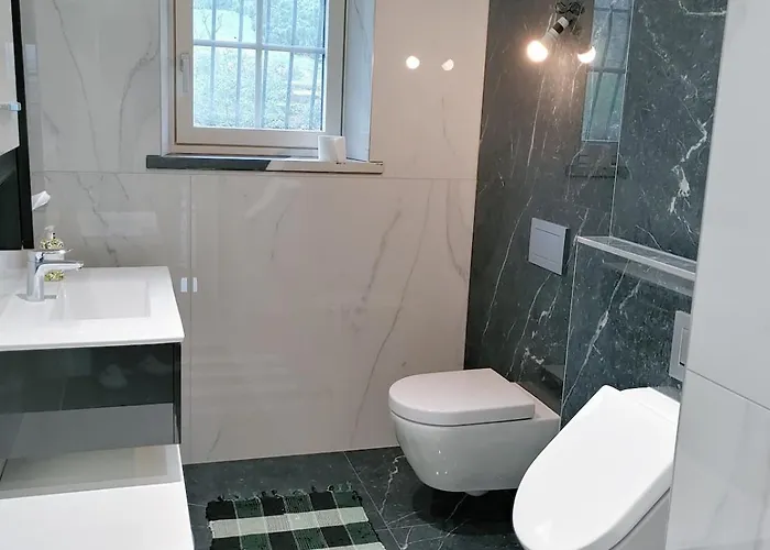 Daire Residenz Dabo Panorama In Den Vogesen, 5 Zimmer, Modern Und Grosszuegig, 2 Balkons, Terrasse, Garten Haselbourg