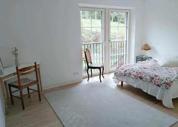 Residenz Dabo Panorama In Den Vogesen, 5 Zimmer, Modern Und Grosszuegig, 2 Balkons, Terrasse, Garten