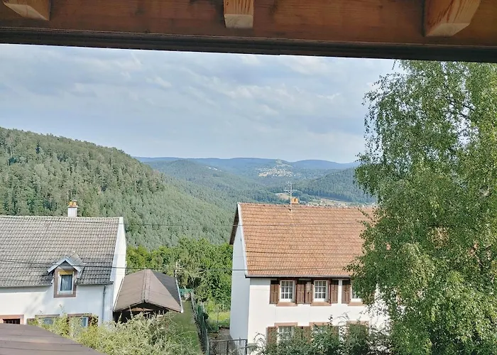 Daire Residenz Dabo Panorama In Den Vogesen, 5 Zimmer, Modern Und Grosszuegig, 2 Balkons, Terrasse, Garten Haselbourg