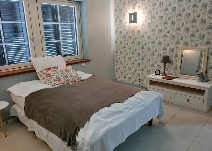 Residenz Dabo Panorama In Den Vogesen, 5 Zimmer, Modern Und Grosszuegig, 2 Balkons, Terrasse, Garten Lägenhet Haselbourg