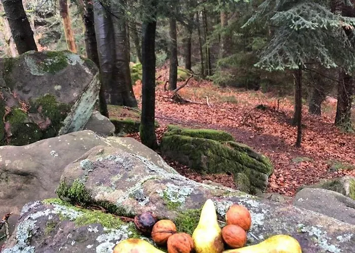 Residenz Dabo Panorama In Den Vogesen, 5 Zimmer, Modern Und Grosszuegig, 2 Balkons, Terrasse, Garten * Haselbourg