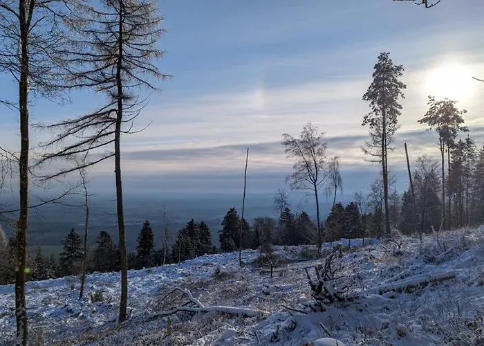 Residenz Dabo Panorama In Den Vogesen, 5 Zimmer, Modern Und Grosszuegig, 2 Balkons, Terrasse, Garten Daire