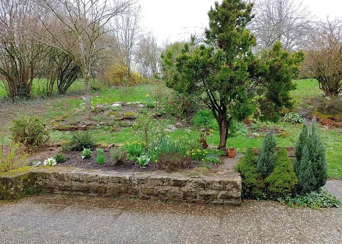 Residenz Dabo Panorama In Den Vogesen, 5 Zimmer, Modern Und Grosszuegig, 2 Balkons, Terrasse, Garten Daire