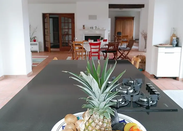 Residenz Dabo Panorama In Den Vogesen, 5 Zimmer, Modern Und Grosszuegig, 2 Balkons, Terrasse, Garten