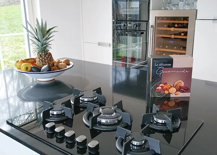 Daire Residenz Dabo Panorama In Den Vogesen, 5 Zimmer, Modern Und Grosszuegig, 2 Balkons, Terrasse, Garten Haselbourg