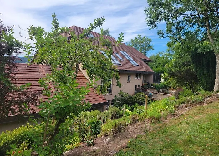 Daire Residenz Dabo Panorama In Den Vogesen, 5 Zimmer, Modern Und Grosszuegig, 2 Balkons, Terrasse, Garten *