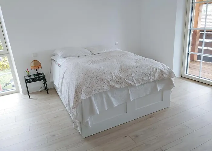 Residenz Dabo Panorama In Den Vogesen, 5 Zimmer, Modern Und Grosszuegig, 2 Balkons, Terrasse, Garten Daire *