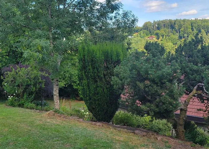 Residenz Dabo Panorama In Den Vogesen, 5 Zimmer, Modern Und Grosszuegig, 2 Balkons, Terrasse, Garten Daire