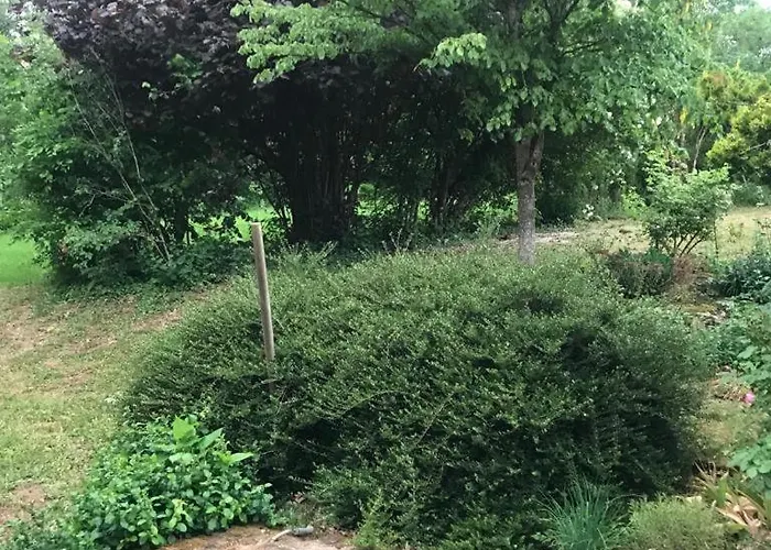 Residenz Dabo Panorama In Den Vogesen, 5 Zimmer, Modern Und Grosszuegig, 2 Balkons, Terrasse, Garten Daire *