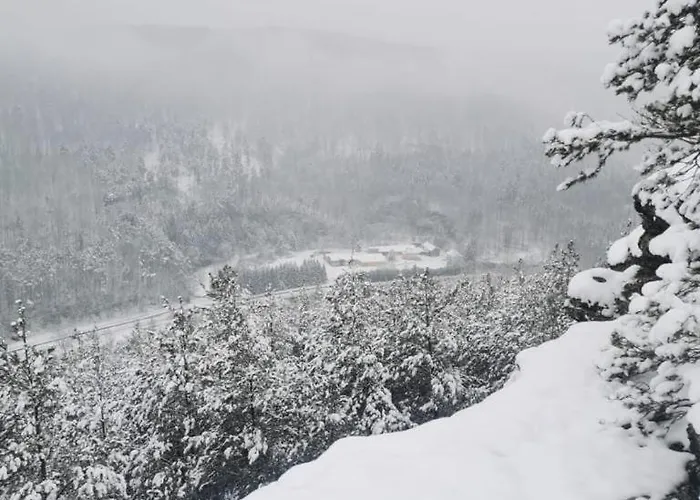 Daire Residenz Dabo Panorama In Den Vogesen, 5 Zimmer, Modern Und Grosszuegig, 2 Balkons, Terrasse, Garten *